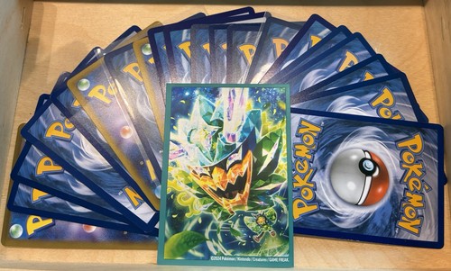 Pokémon mystery pack mit - pokémon, 20