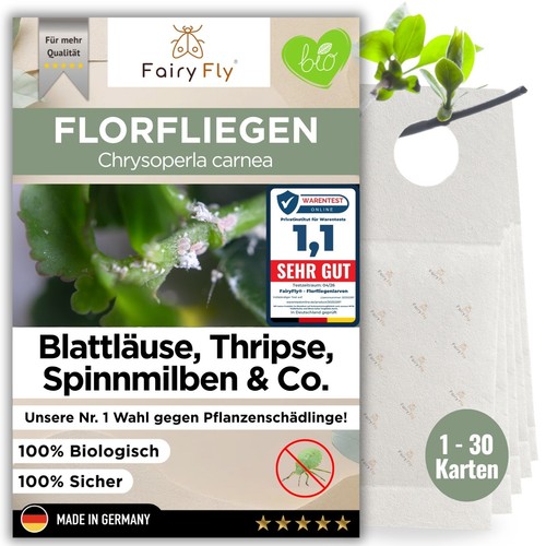 Florfliegenlarven gegen