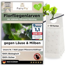 Florfliegenlarven gegen