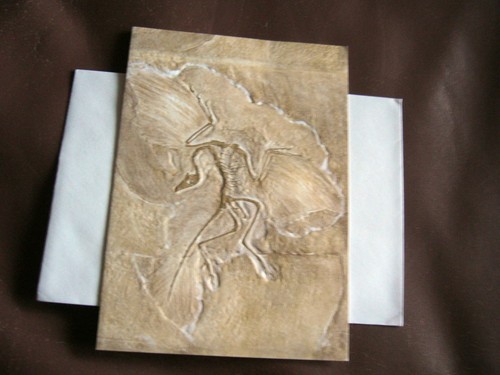 Stck fossil prägekarten - fossil,